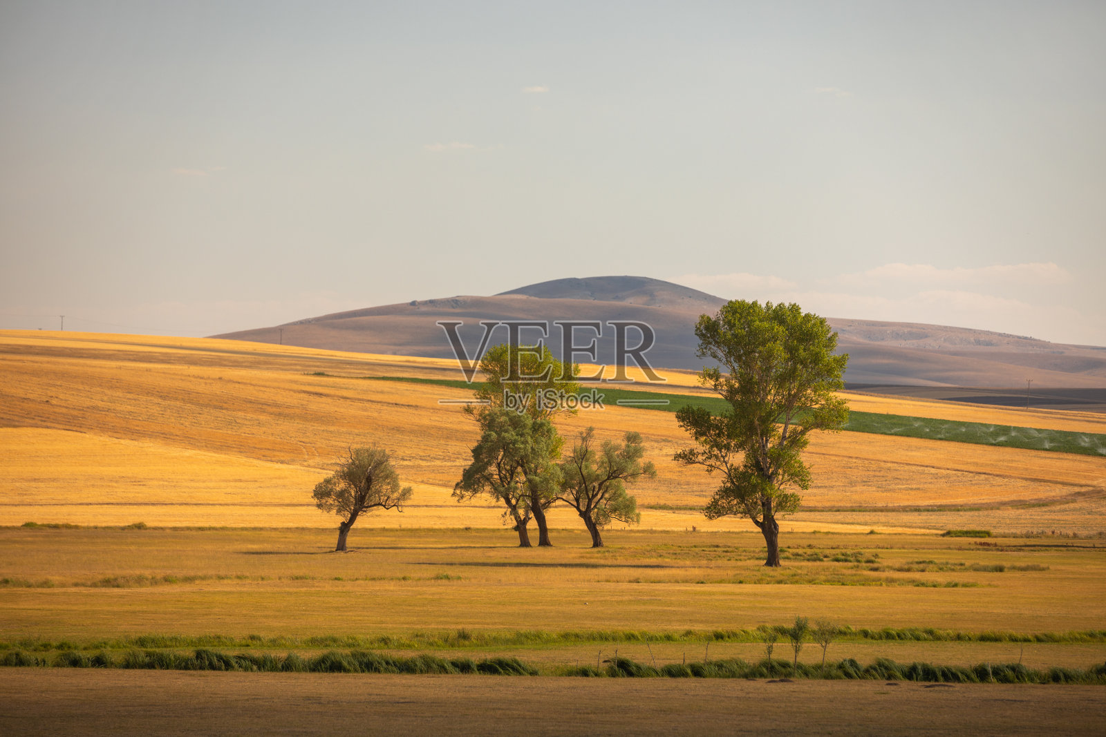 郊野及平原景观照片摄影图片