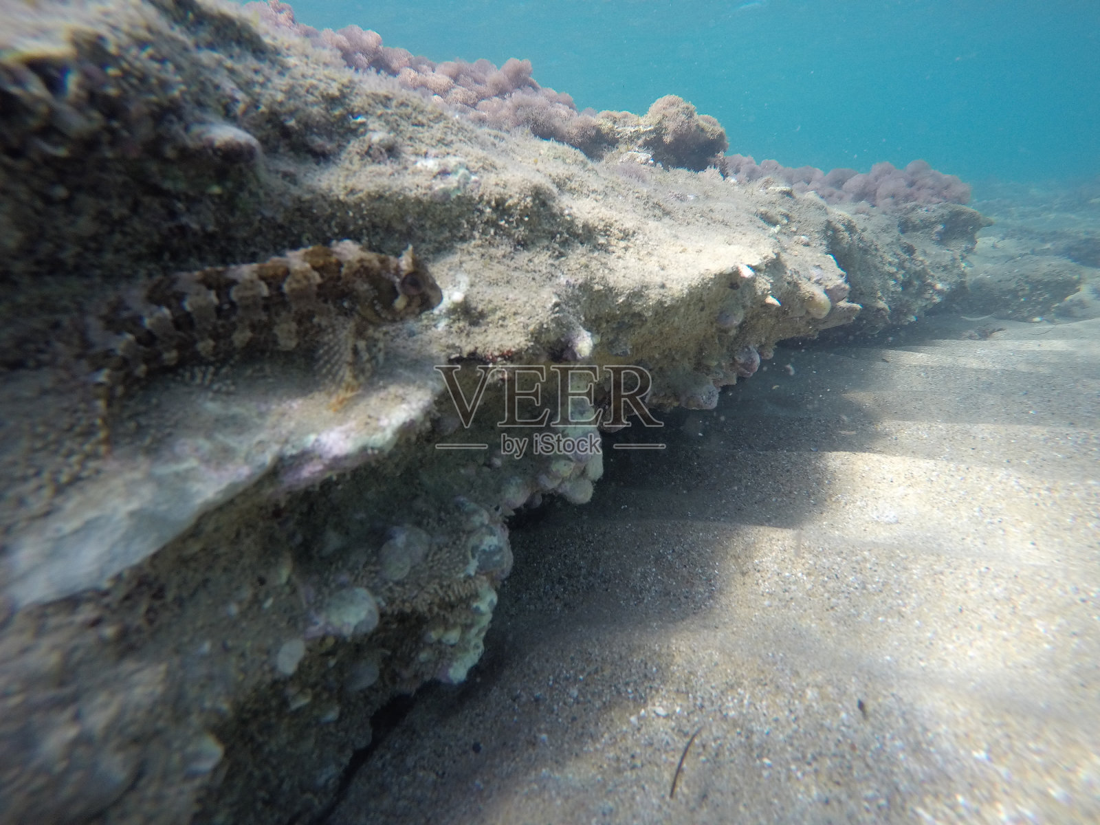 费斯照片摄影图片