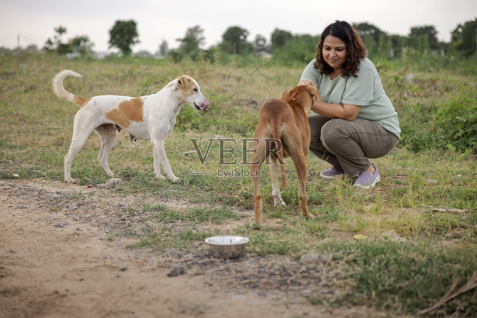 印度一名妇女在一条土路上照顾流浪狗照片摄影图片