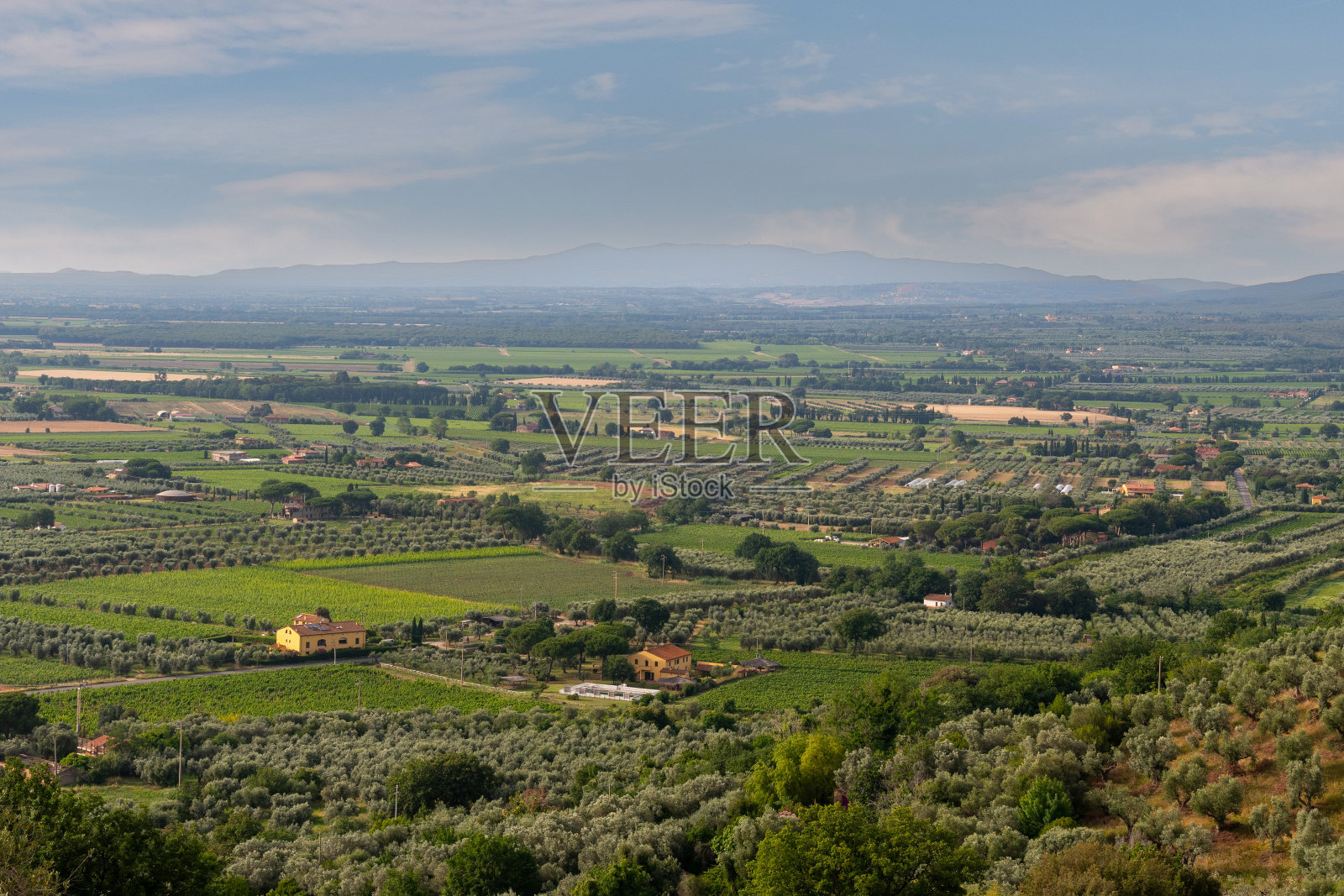 从意大利托斯卡纳利沃诺卡斯塔涅托卡杜奇山上俯瞰托斯卡纳乡村的橄榄树林和耕地照片摄影图片