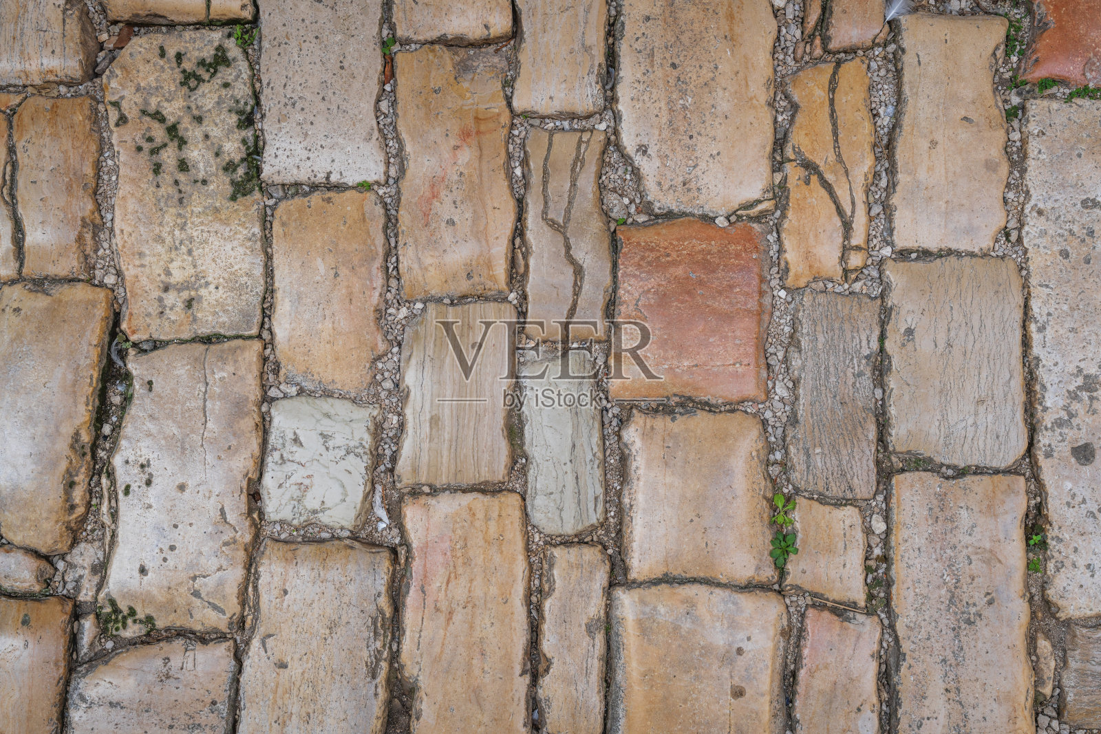 罗维尼的鹅卵石路面照片摄影图片