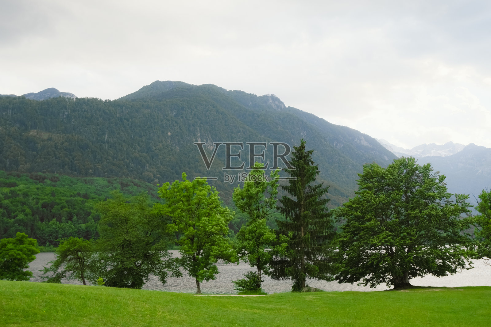 山上有树的风景照片摄影图片