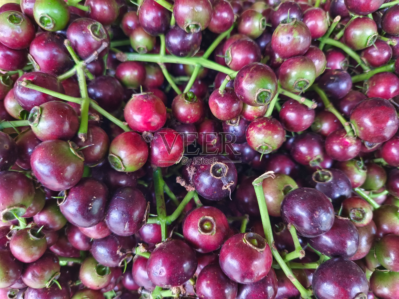 杯水果照片摄影图片