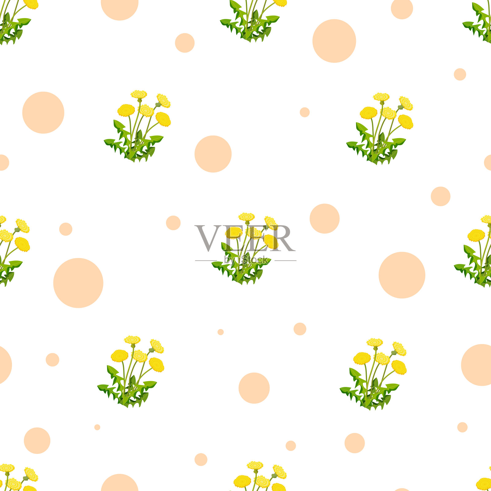 在白色背景上盛开的蒲公英无缝图案。插画图片素材