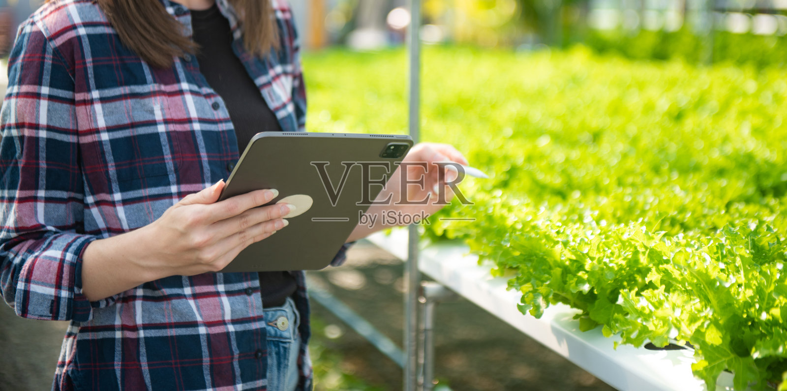 亚洲女农民看有机蔬菜,拿着检查订单或质量农场的药片照片摄影图片