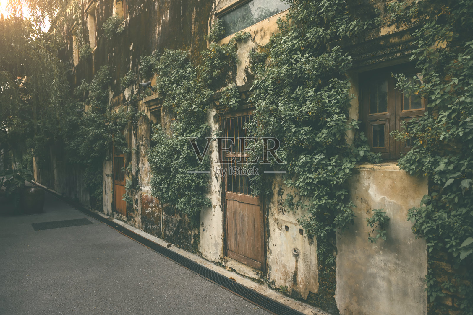 一座有着各种植物的中国古代建筑照片摄影图片