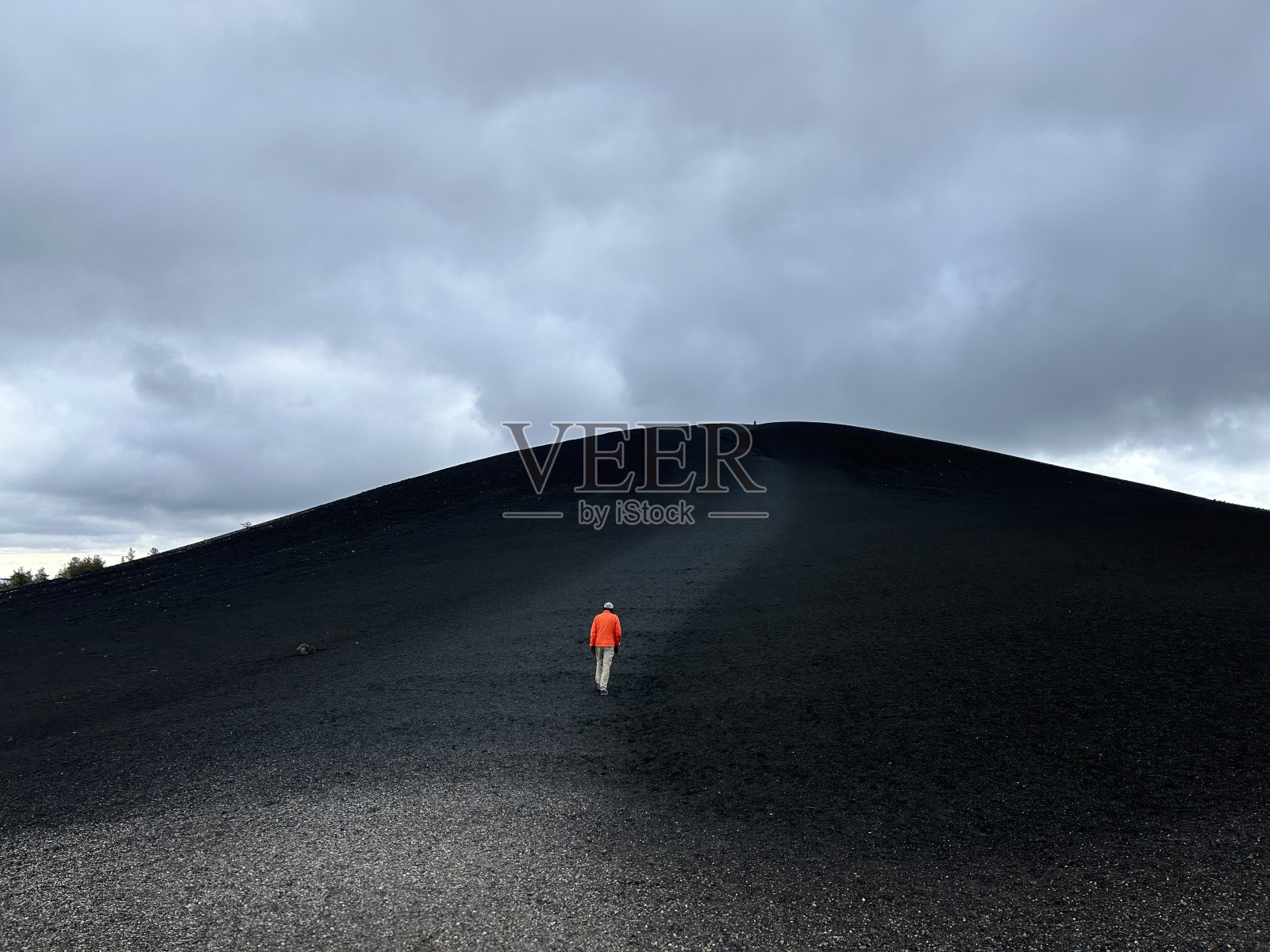 穆迪走照片摄影图片