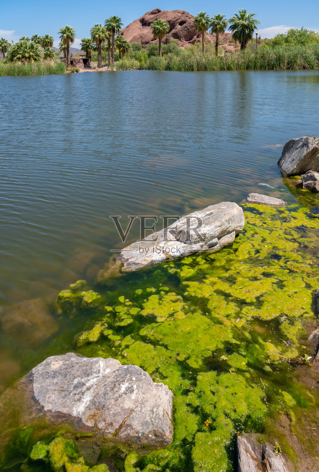 凤凰城市区的帕帕戈公园照片摄影图片