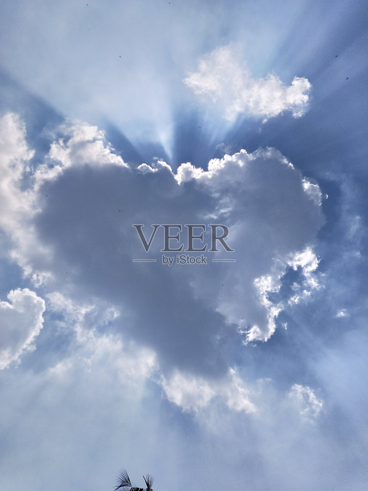 创意和美丽的心形积雨云漂浮在一天的中间照片摄影图片