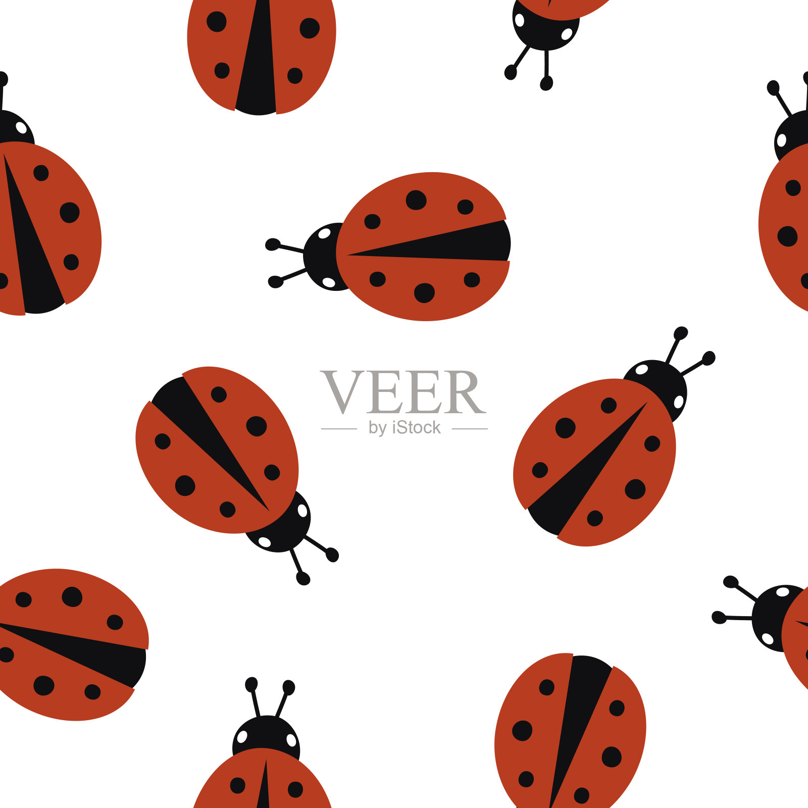 无缝图案与瓢虫。矢量插图隔离在白色背景上。插画图片素材