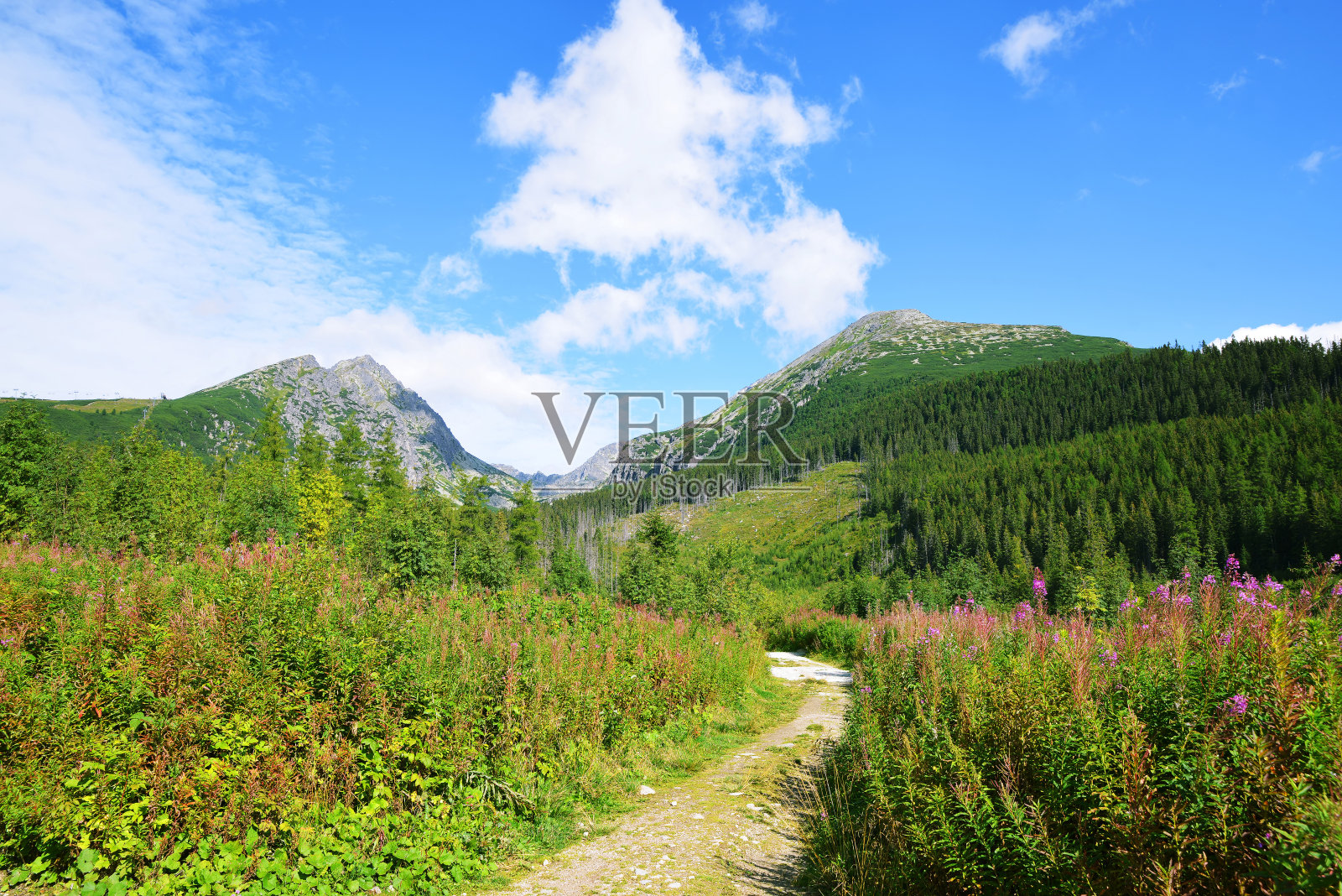 斯洛伐克塔特拉山脉的姆林尼卡山谷。照片摄影图片