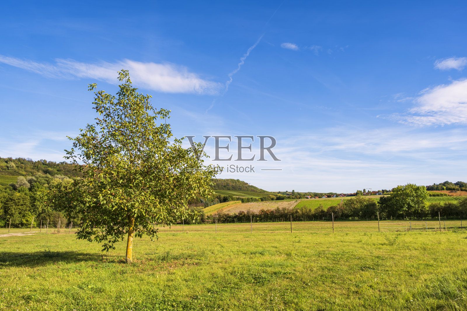 在德国Laurenziberg徒步旅行照片摄影图片