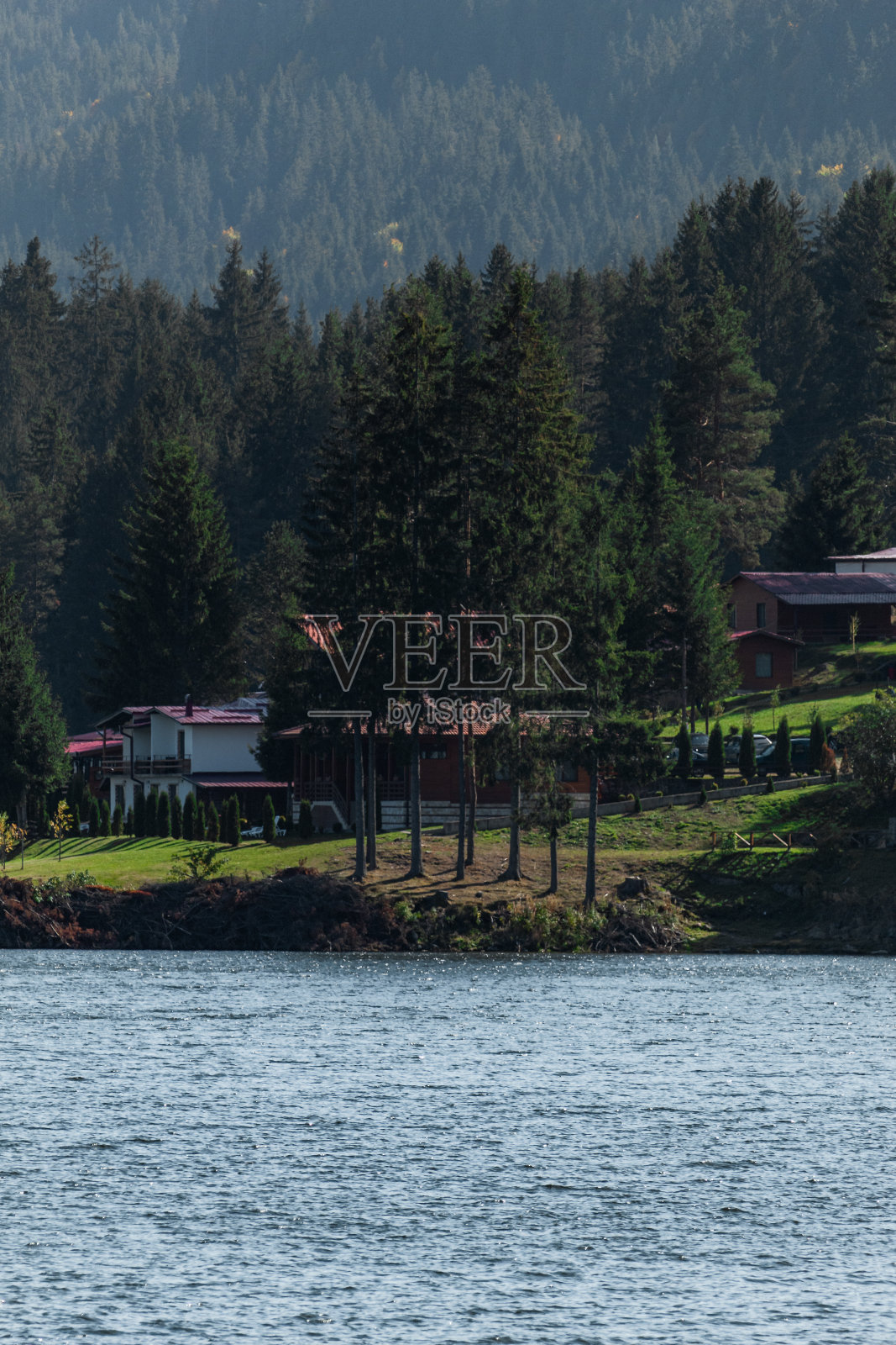 美丽的景色是一群松树,后面是一座建筑。照片摄影图片