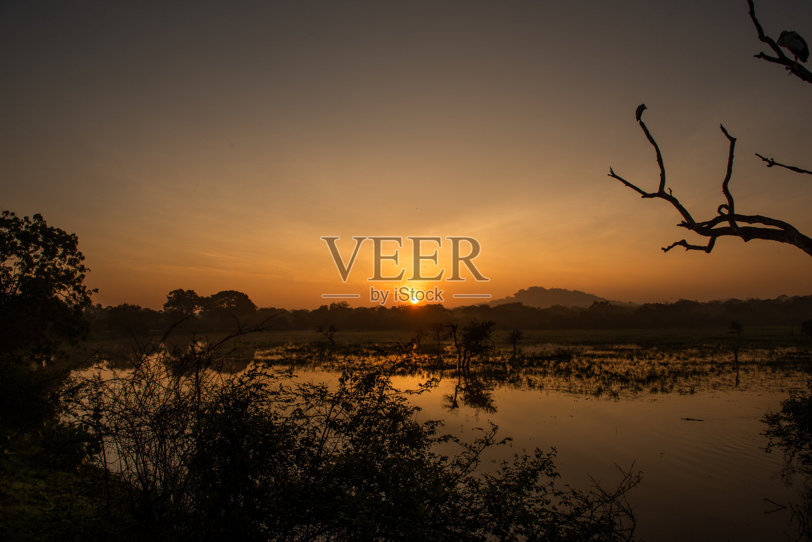 斯里兰卡雅拉国家公园的落日照片摄影图片