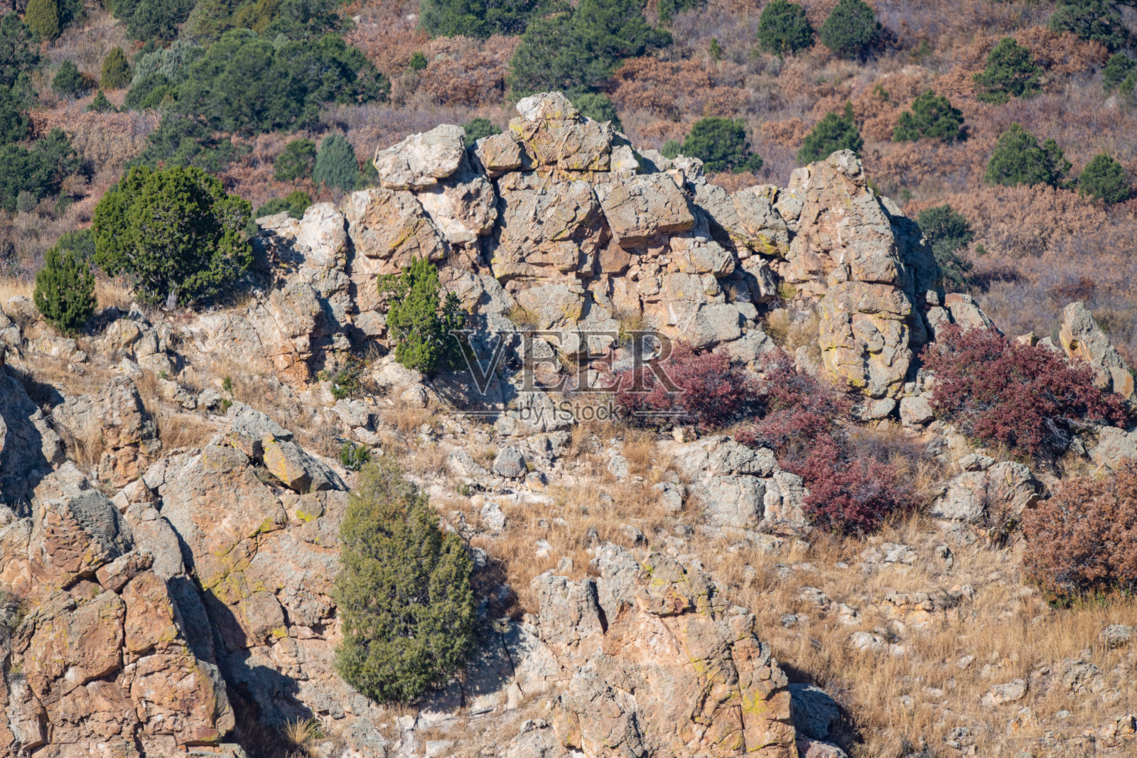 位于北美美国西部科罗拉多斯普林斯的众神花园和派克峰森林附近的红色,金色和白色岩石的深砂岩峡谷。照片摄影图片