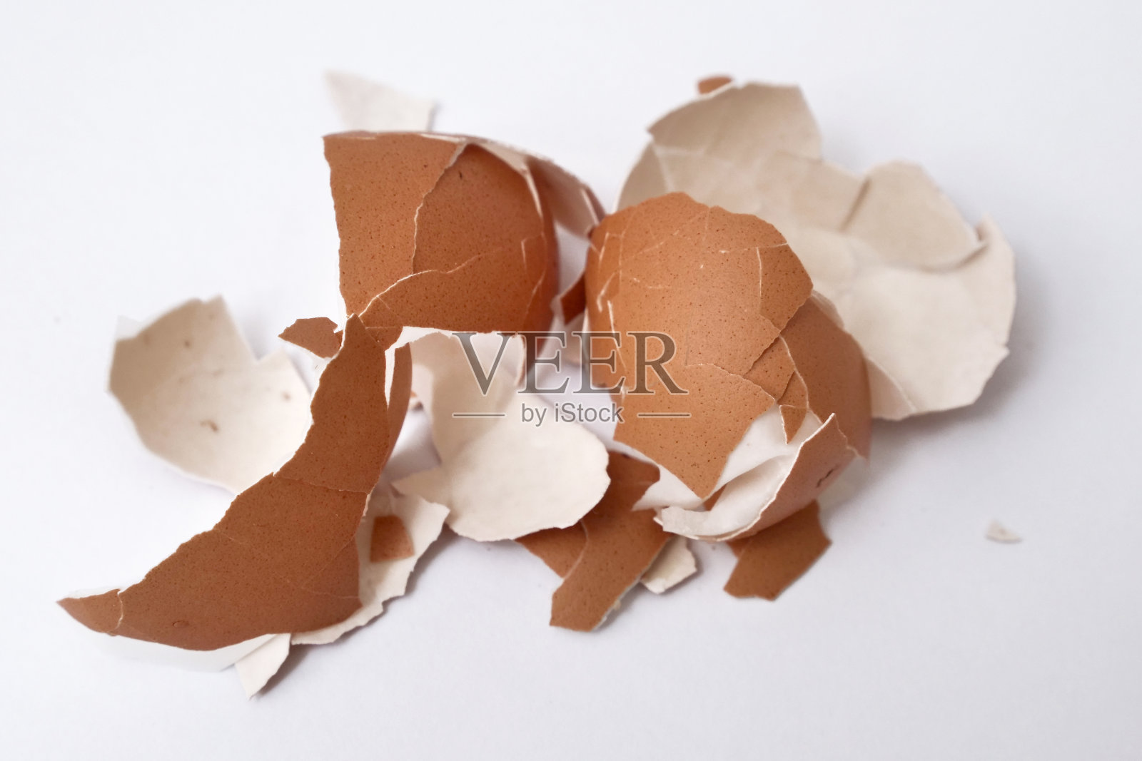 破蛋壳上的白色照片摄影图片