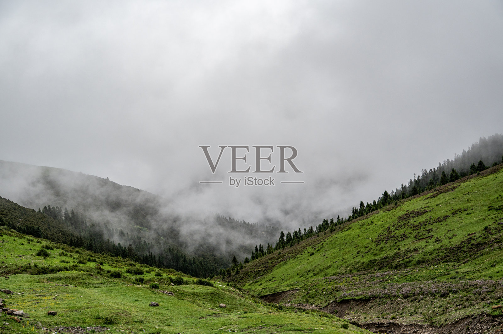 多云多雾的高原草地照片摄影图片