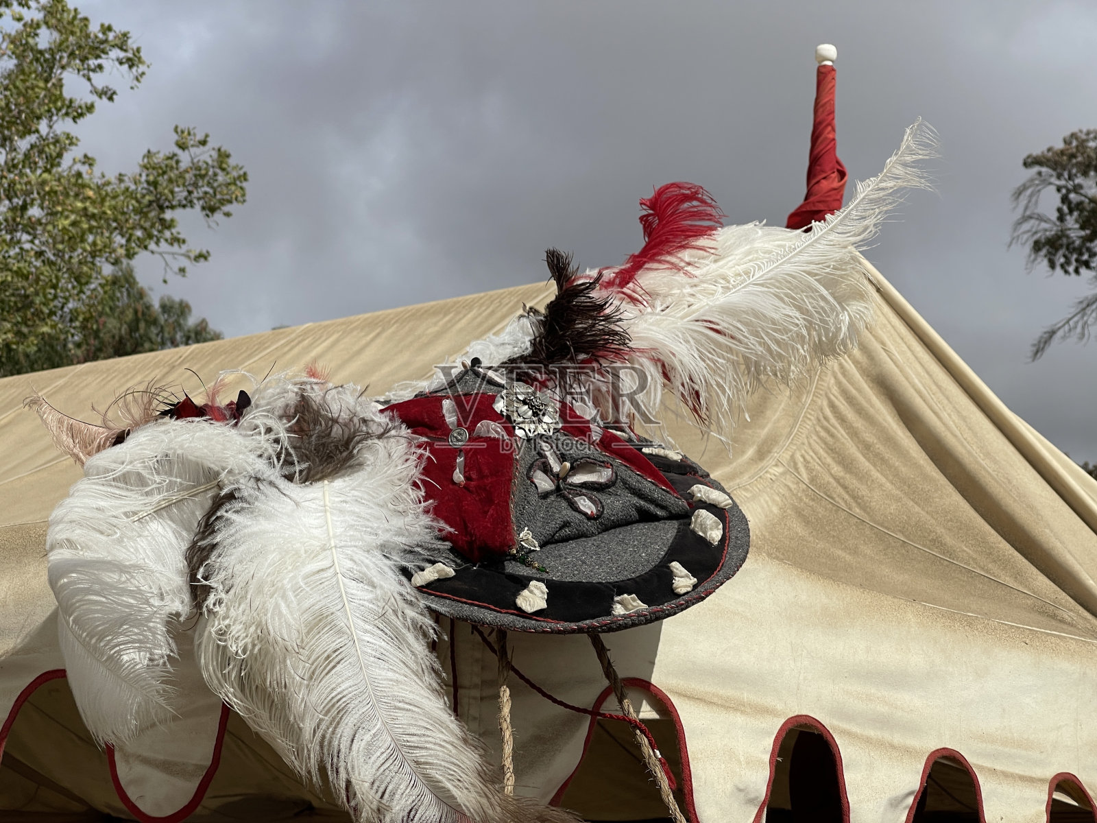 装饰照片摄影图片