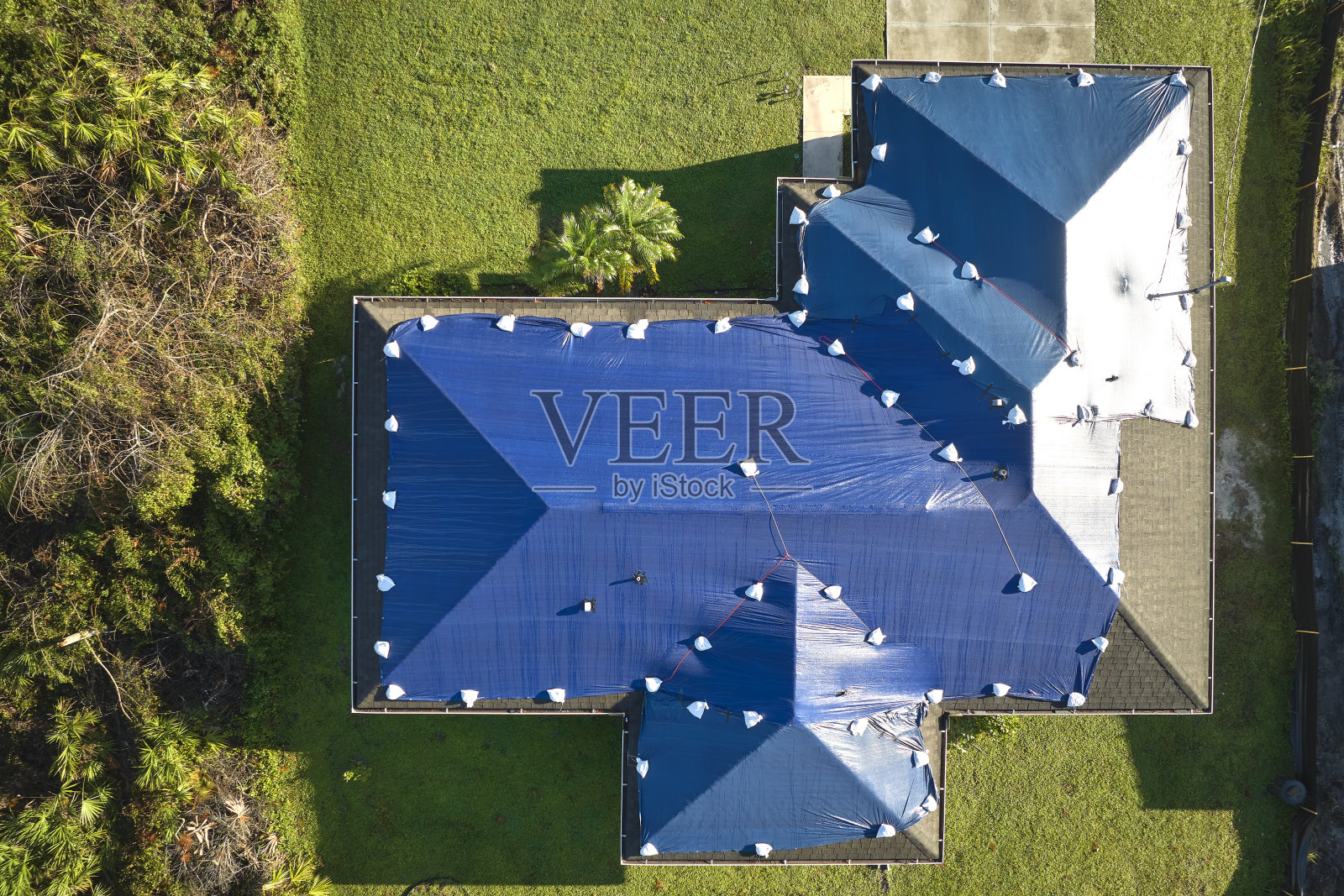 鸟瞰图,飓风伊恩损坏的屋顶覆盖着蓝色防水布防止雨水泄漏,直到更换沥青瓦照片摄影图片