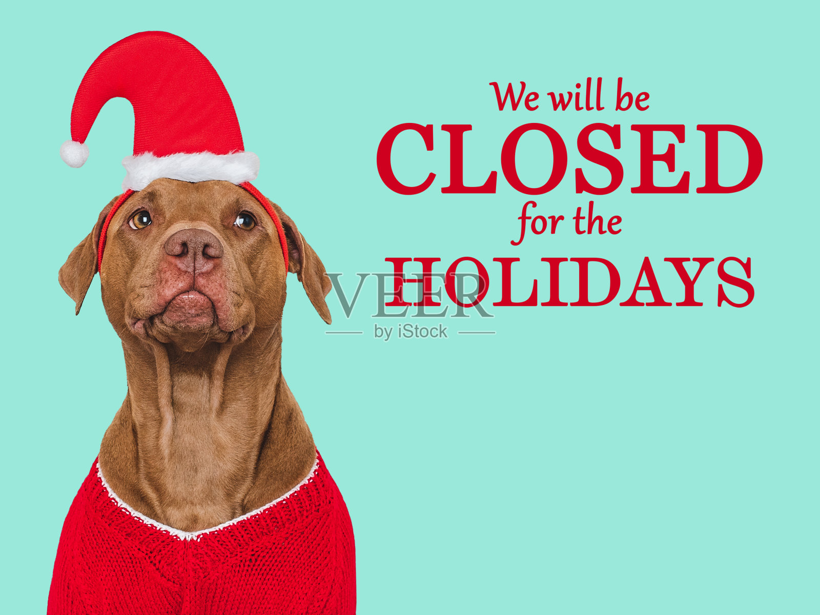 我们假期不营业照片摄影图片