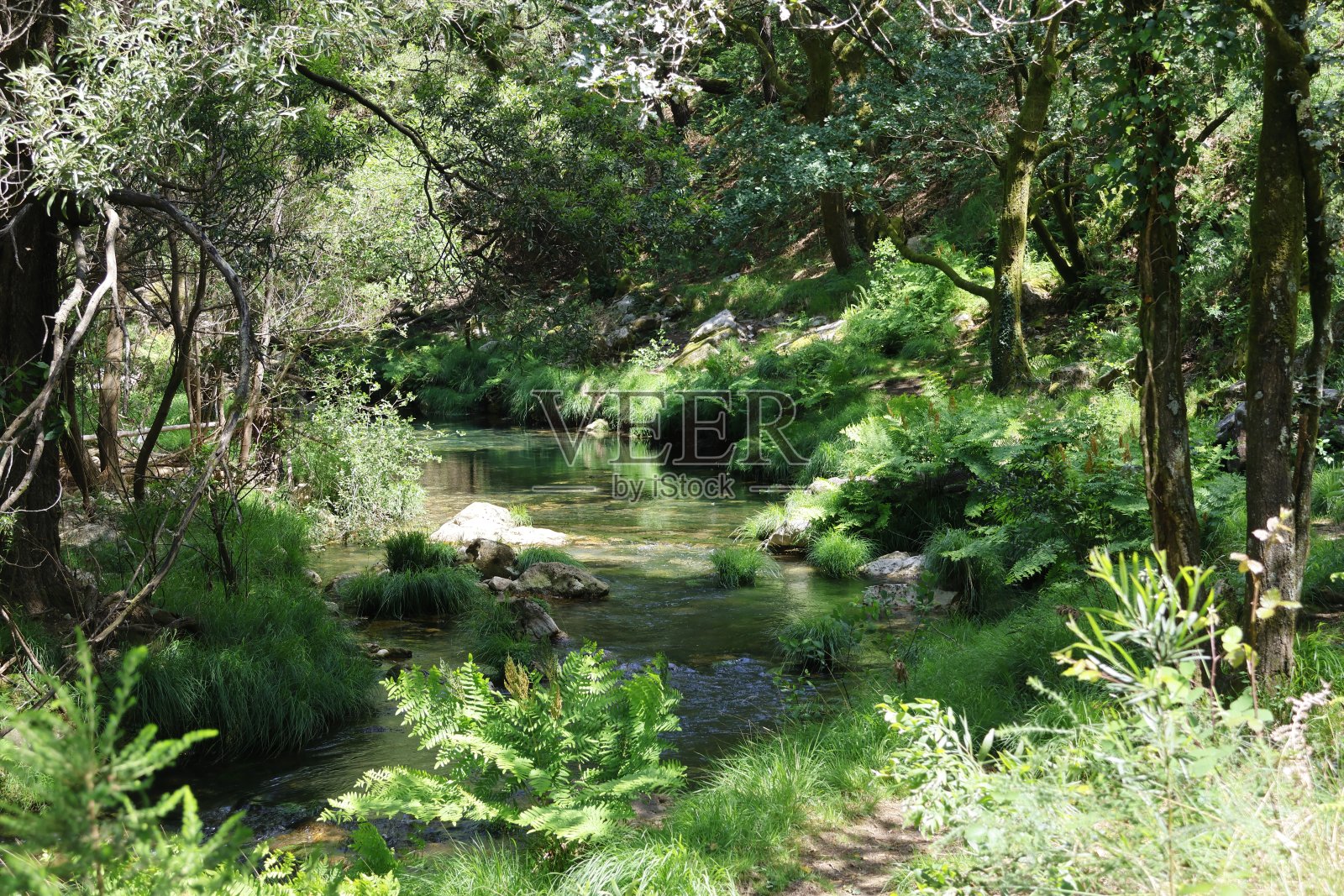 平静的河流小径照片摄影图片