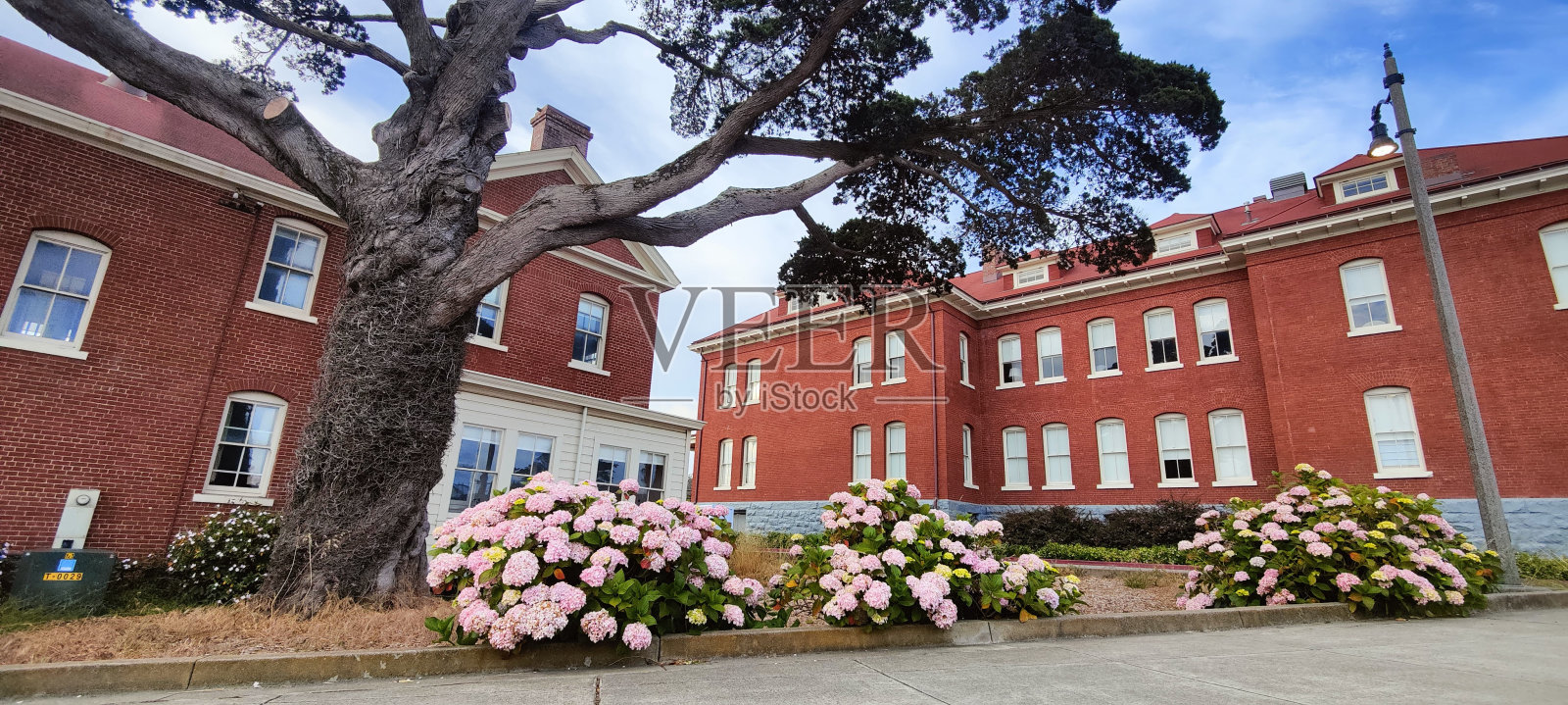 有漂亮的花和树的普雷西迪奥建筑照片摄影图片