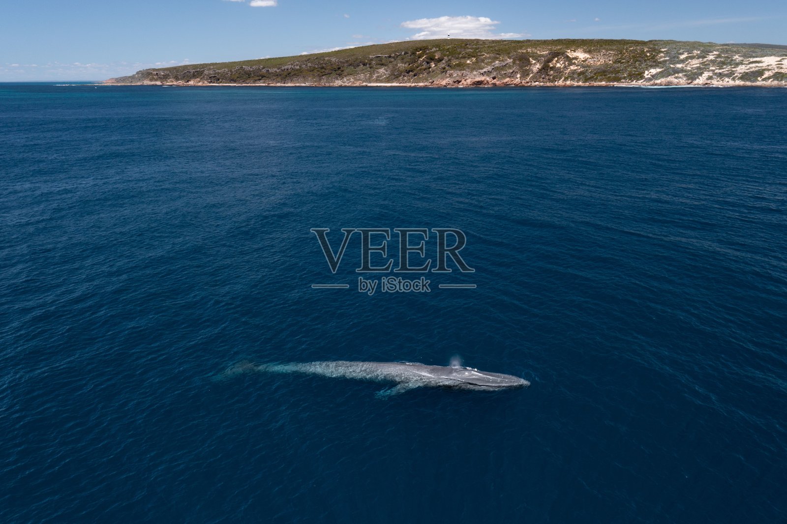 在悬崖环绕的海洋中,鲸鱼的鸟瞰图照片摄影图片
