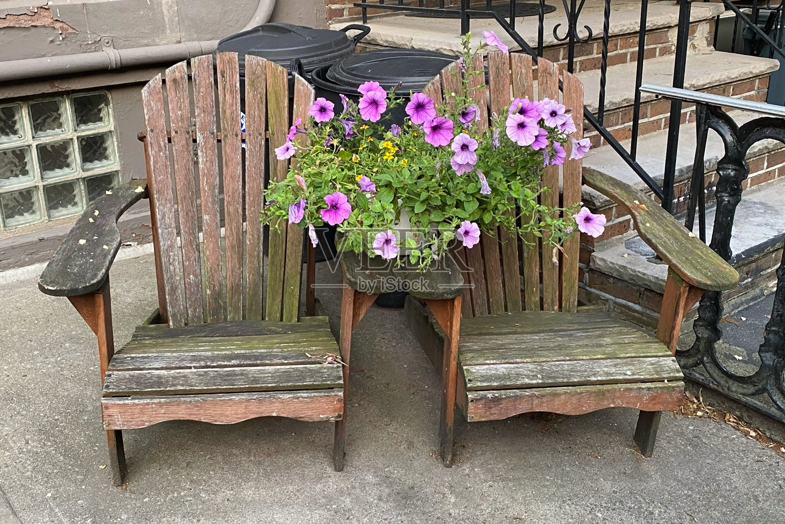 花园里有粉红色的花和木椅照片摄影图片