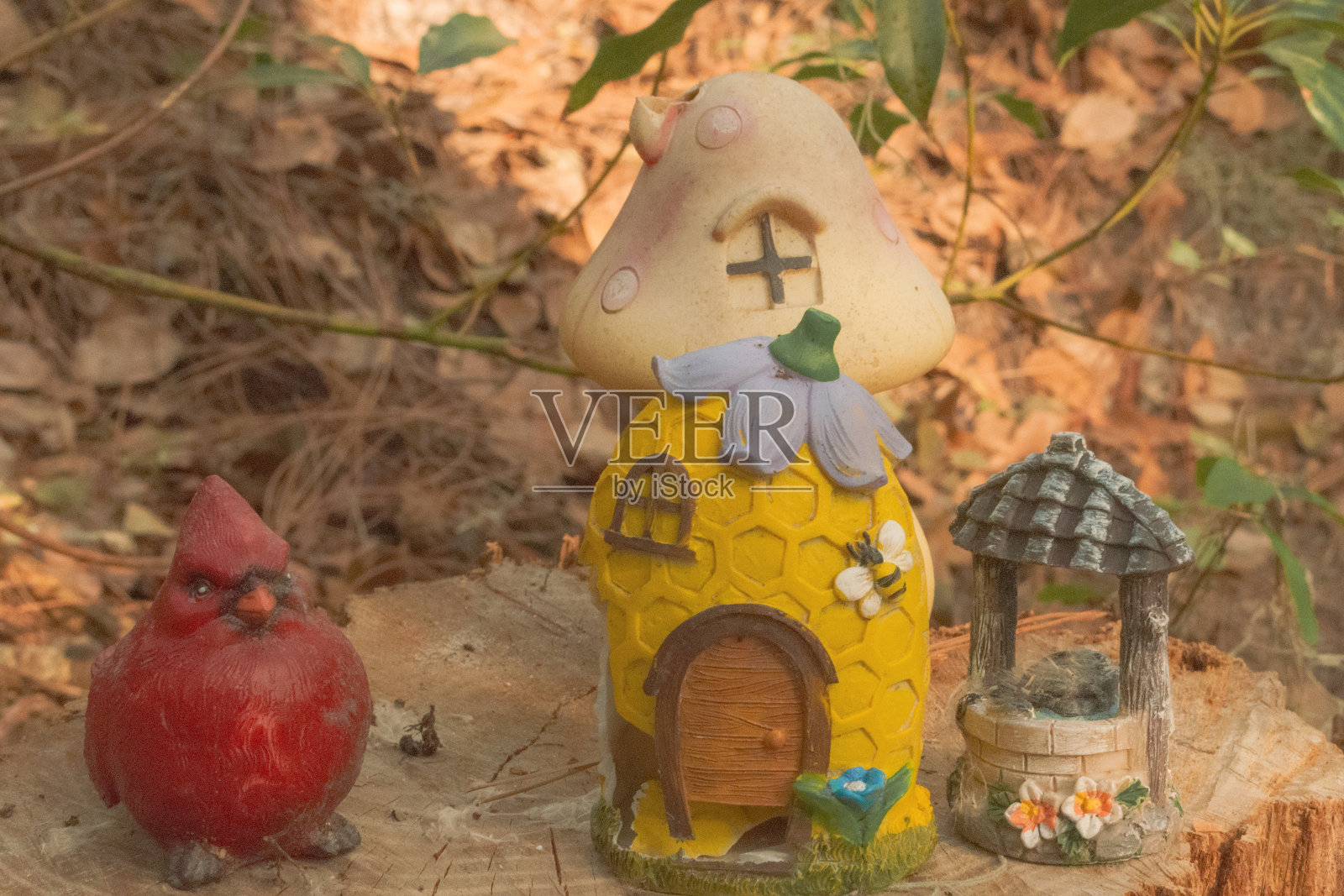 仙女花园照片摄影图片