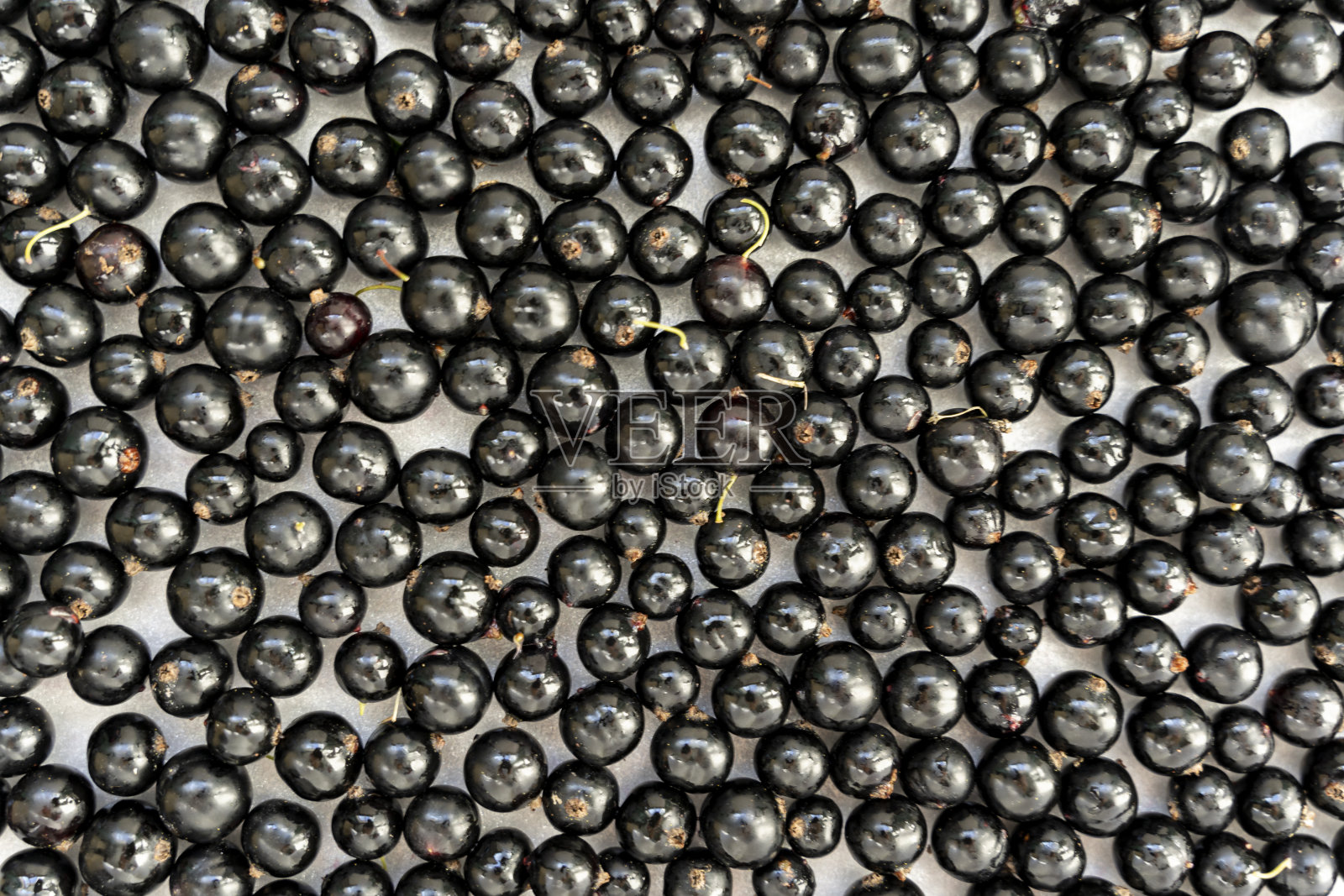 夏季新鲜黑加仑浆果。香甜成熟的黑加仑子香味。照片摄影图片