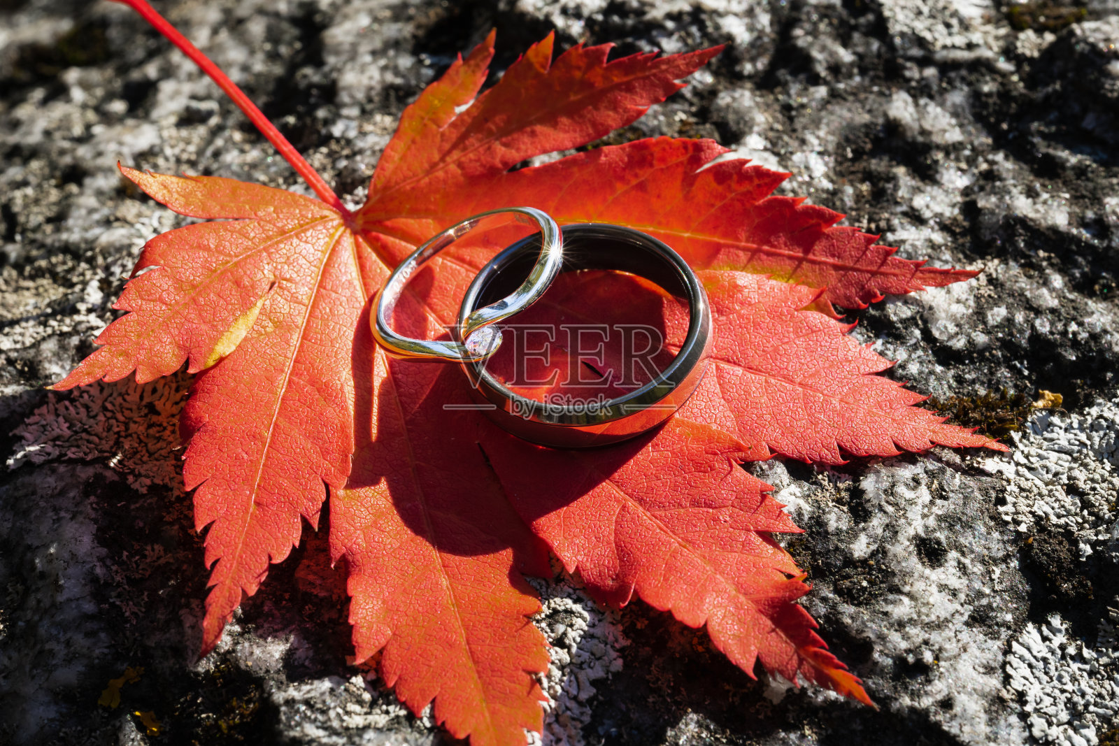 浪漫,男性和女性的戒指分别放在一片红色的秋叶和一块石头上。照片摄影图片