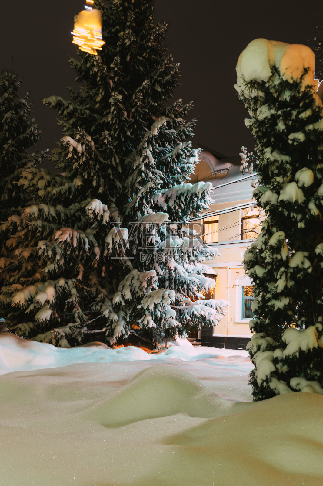 观赏城市街道公园的花木,一场降雪后的节日装饰照片摄影图片