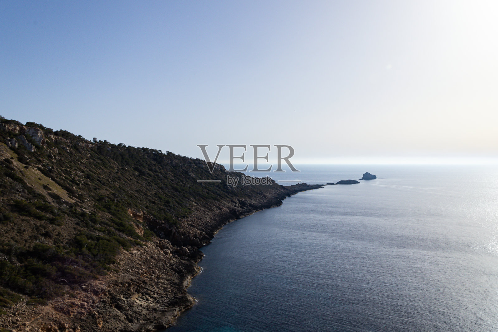 海里的石头上有树照片摄影图片