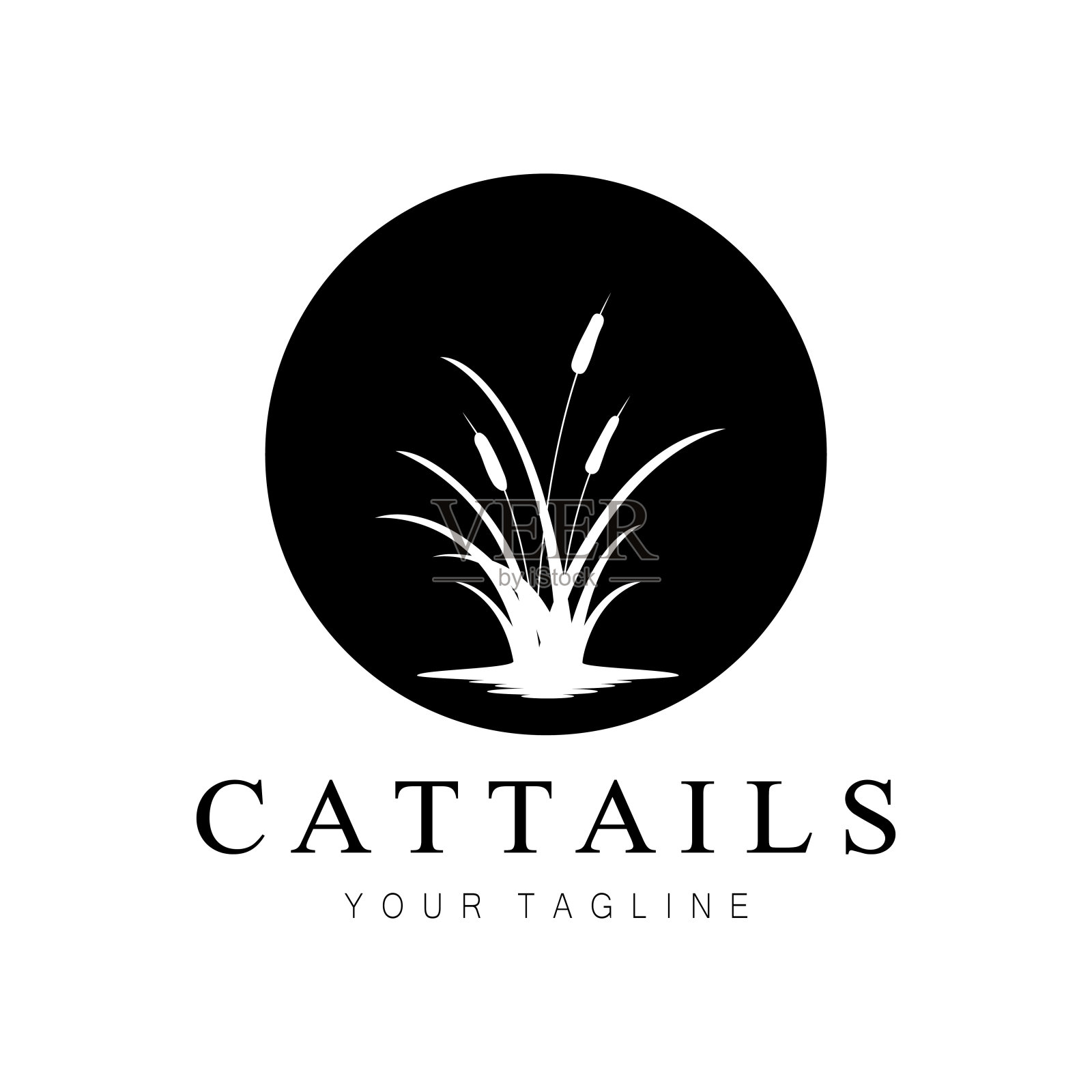 香蒲或河芦苇草植物标志设计,水生植物,沼泽,野草矢量插画图片素材