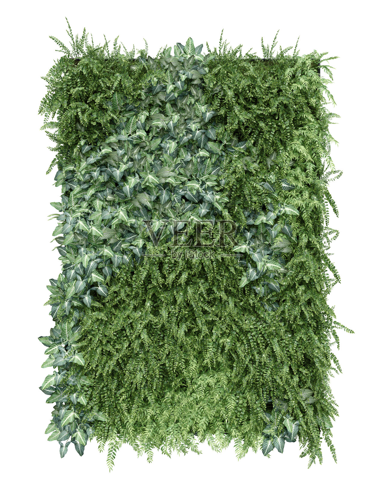 逼真的垂直花园。照片摄影图片