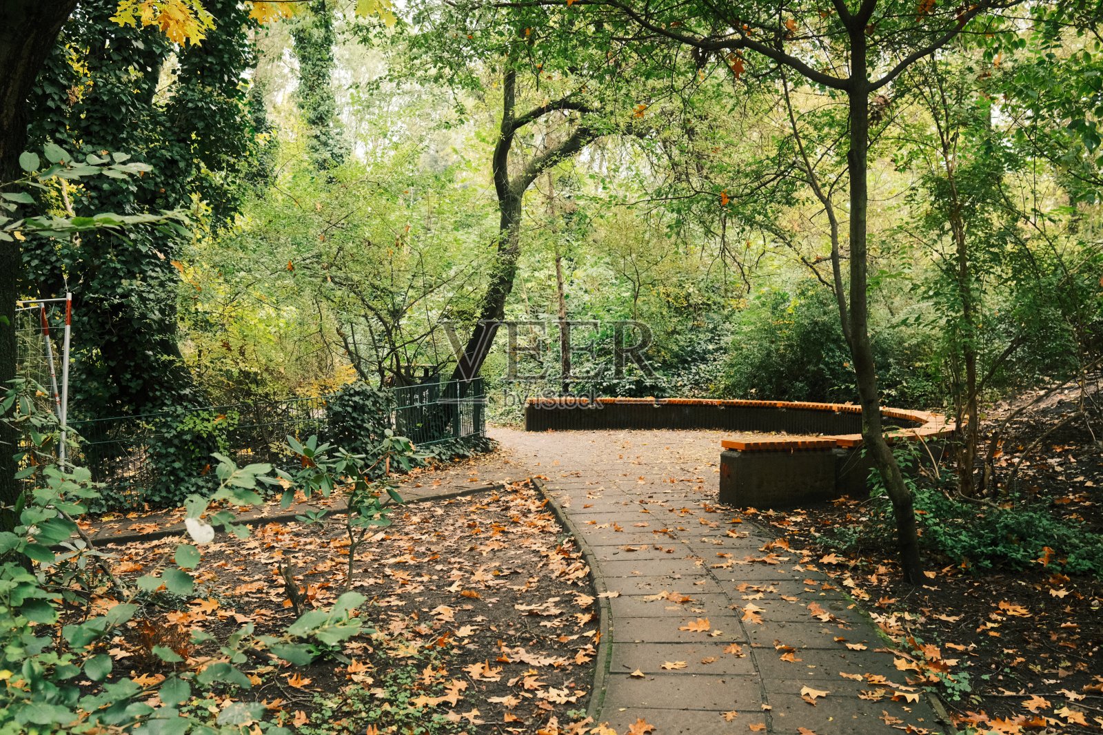 秋天的色彩在柏林的街道和公园照片摄影图片