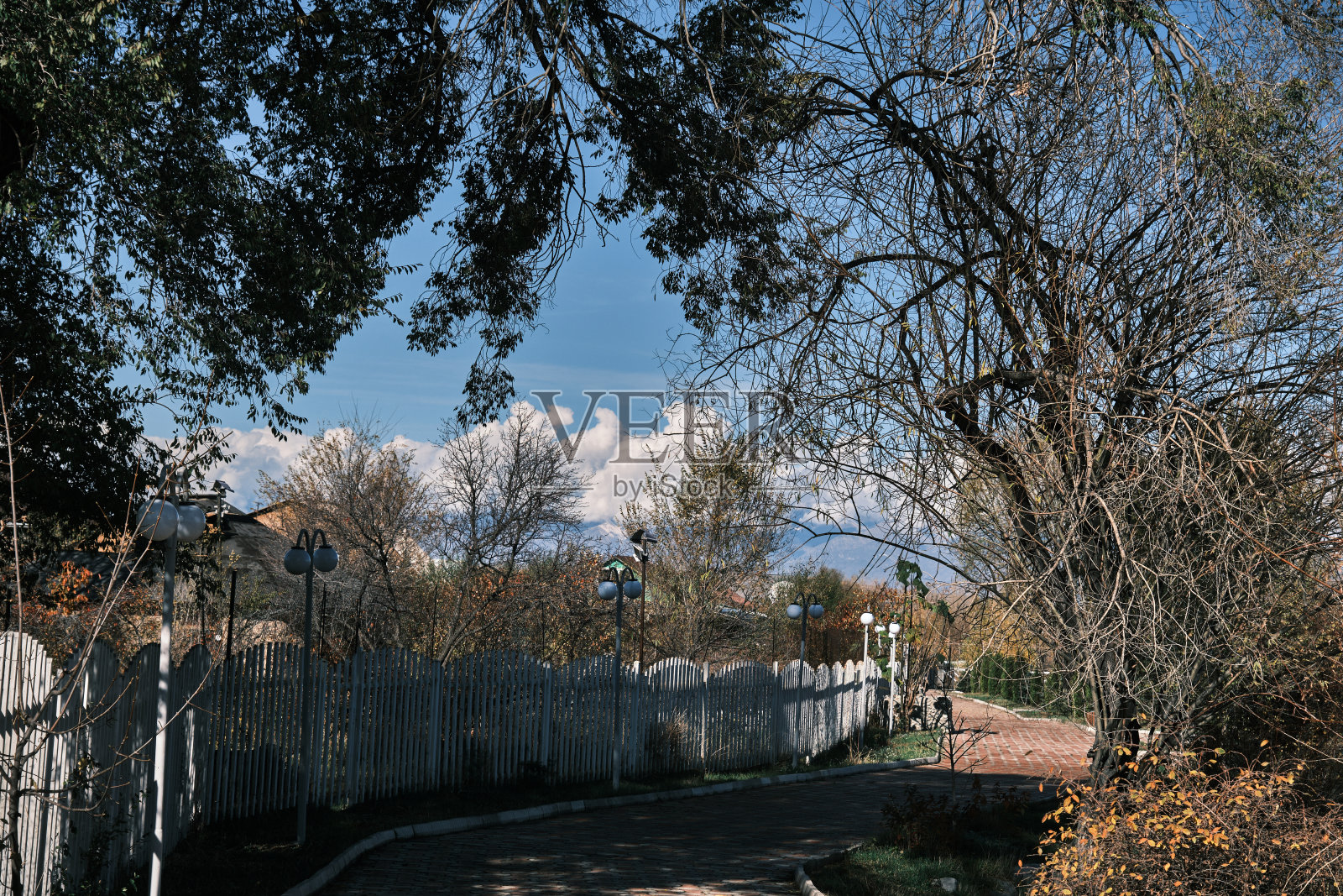 秋天公园里有栅栏的小径照片摄影图片