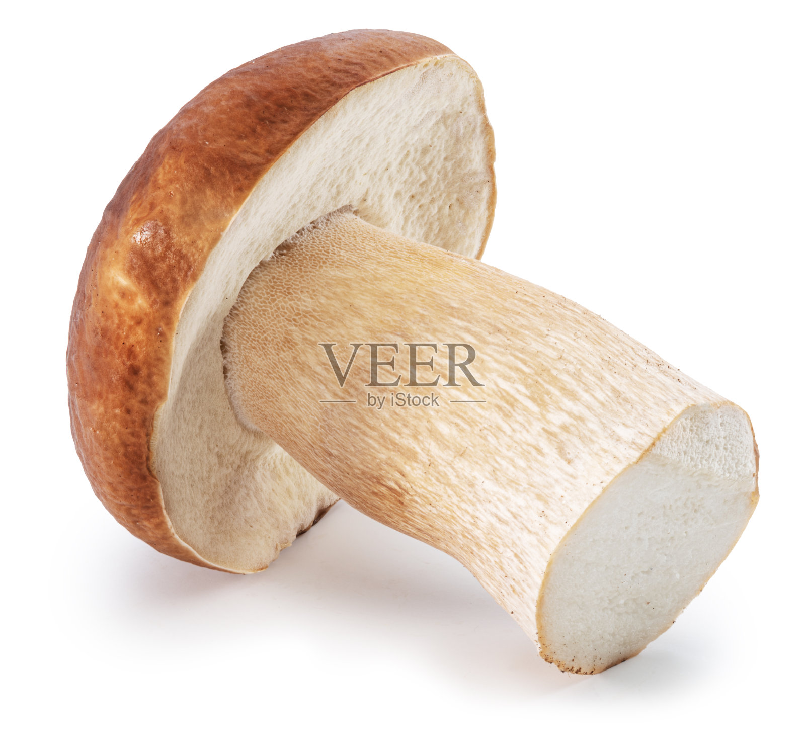 白色背景的牛肝菌。文件包含剪辑路径。照片摄影图片