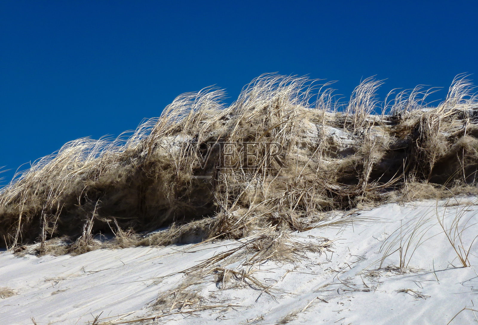 白雪覆盖的景观映衬着清澈的蓝天照片摄影图片