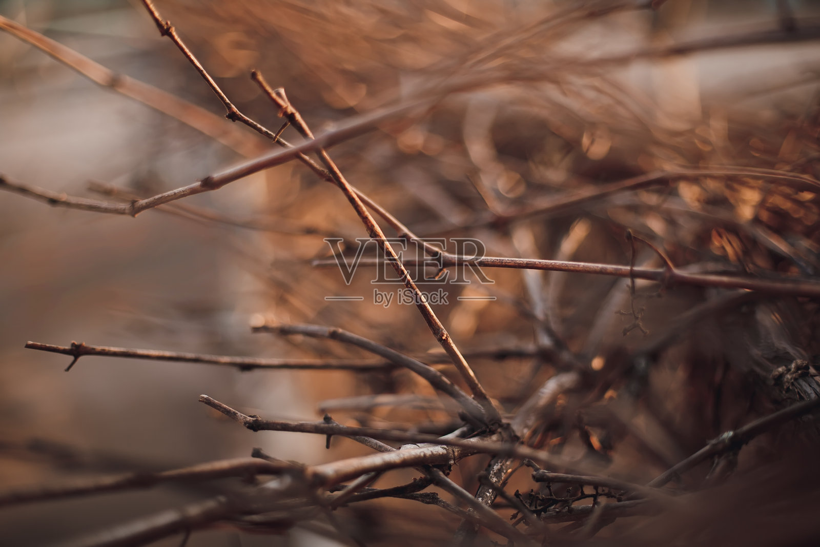 模糊强度。枯叶照片摄影图片