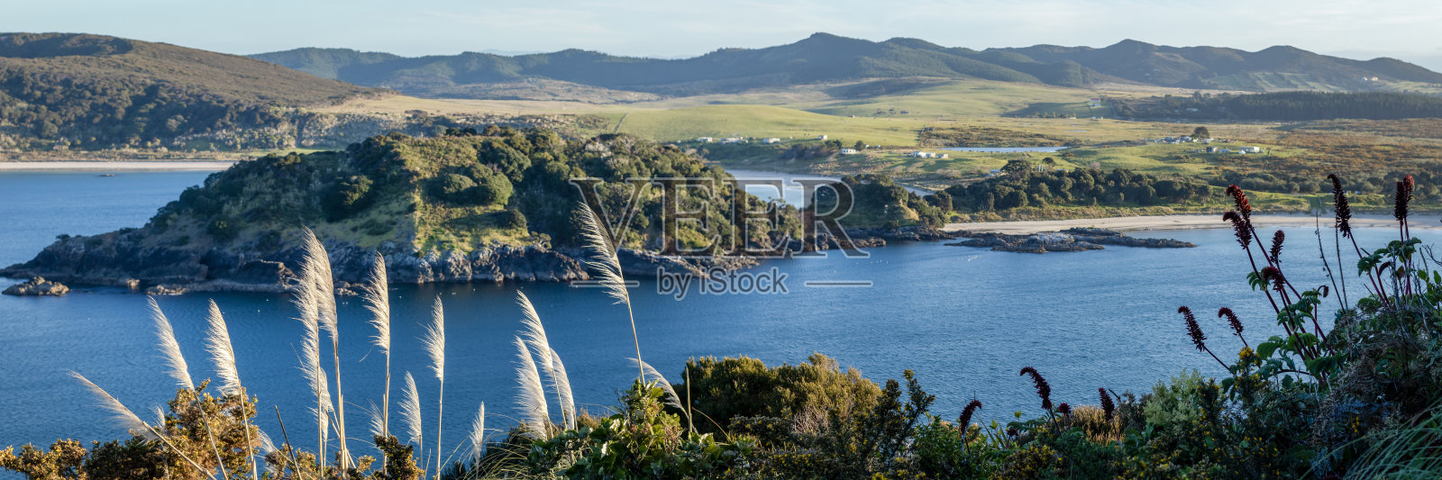 马泰湾:新西兰北部卡里卡里半岛的岬角轨道和海滨宁静,选择性聚焦照片摄影图片