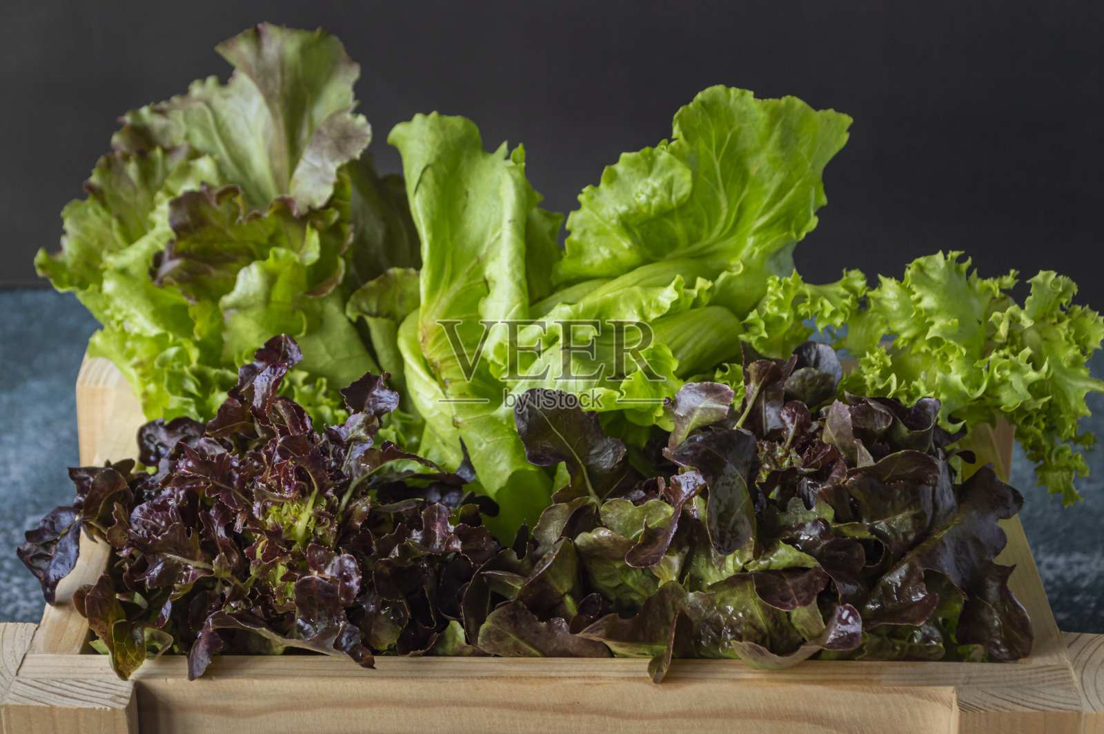 新鲜的沙拉蔬菜有红色和绿色的叶子。照片摄影图片
