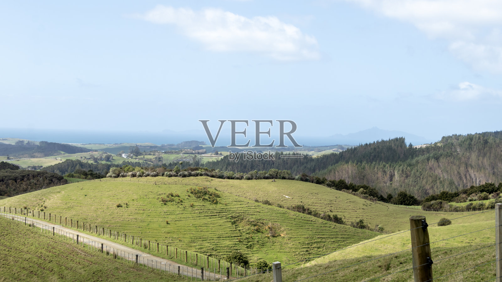 绿色牧场,连绵起伏的丘陵,以及新西兰北部奥泰加山谷风景优美的农田景观照片摄影图片
