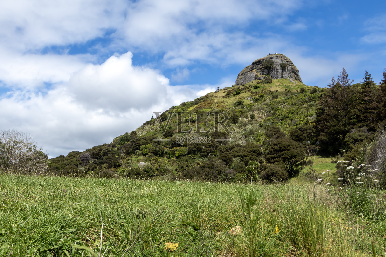 阳光明媚的日子里,新西兰北部旺格罗阿的海岸美景,圣保罗岩石赛道照片摄影图片