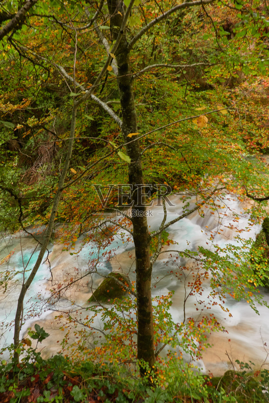 瀑布和清澈、蓝色、绿松石和绿色的水,以及塞拉Urbasa-Andía上秋天的山毛榉森林。纳瓦拉。西班牙照片摄影图片