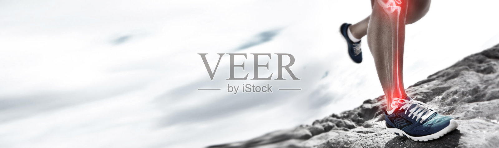 横幅,跑步者和训练与受伤的腿为解剖关节疼痛的特写,覆盖和模型。人,保健或医疗运动,健身或锻炼地形,健康或道路照片摄影图片