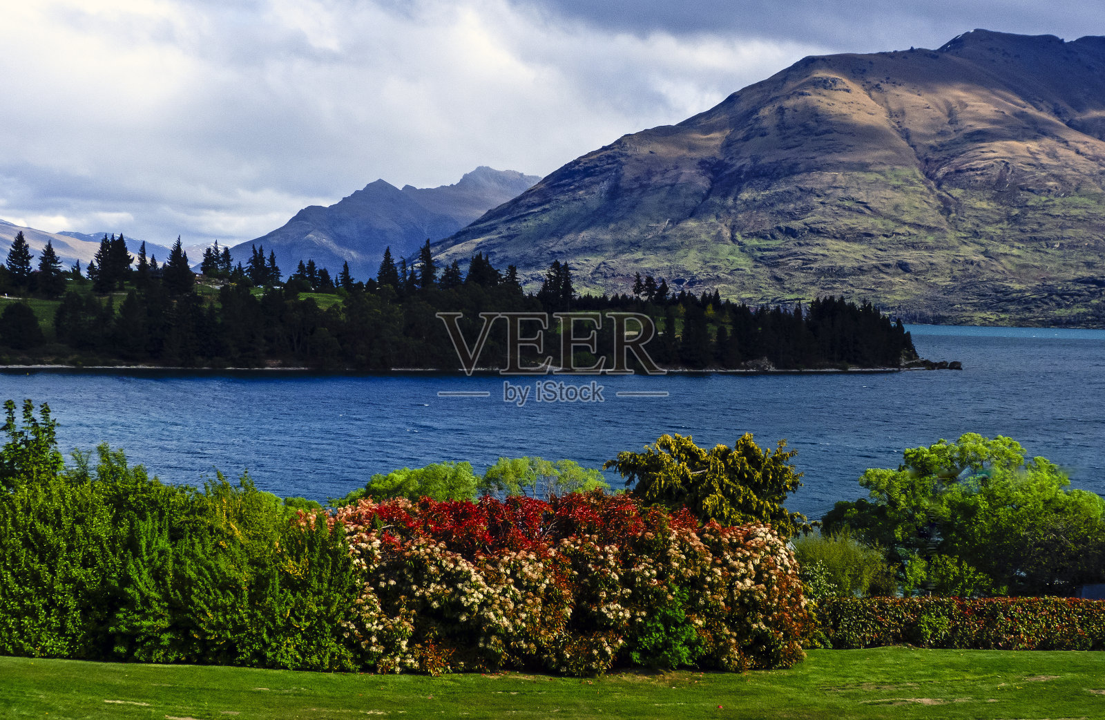 皇后镇海滨的公园和花园。昆士兰,新西兰照片摄影图片