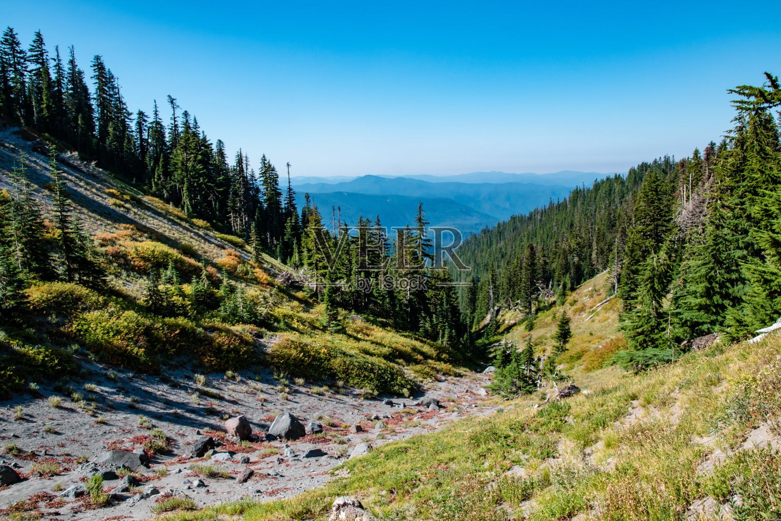 俄勒冈州通向胡德山荒野和杰斐逊山的绿草谷照片摄影图片