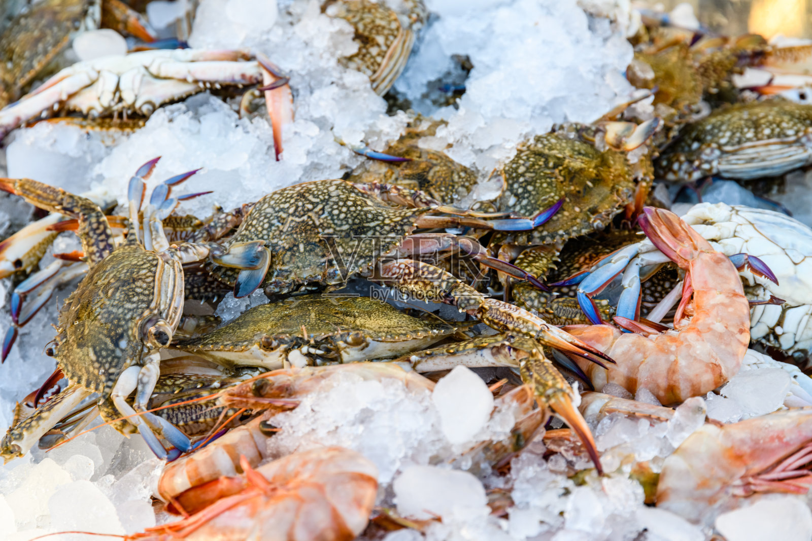 鱼市上待售的螃蟹和虾照片摄影图片