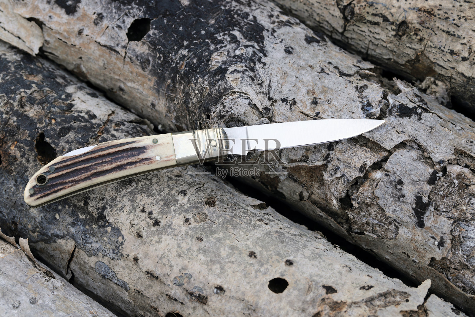 倒在树上的小折刀照片摄影图片